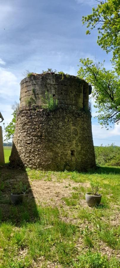 Moulin De Bigorre Villa Saint-Genès-de-Castillon Eksteriør bilde